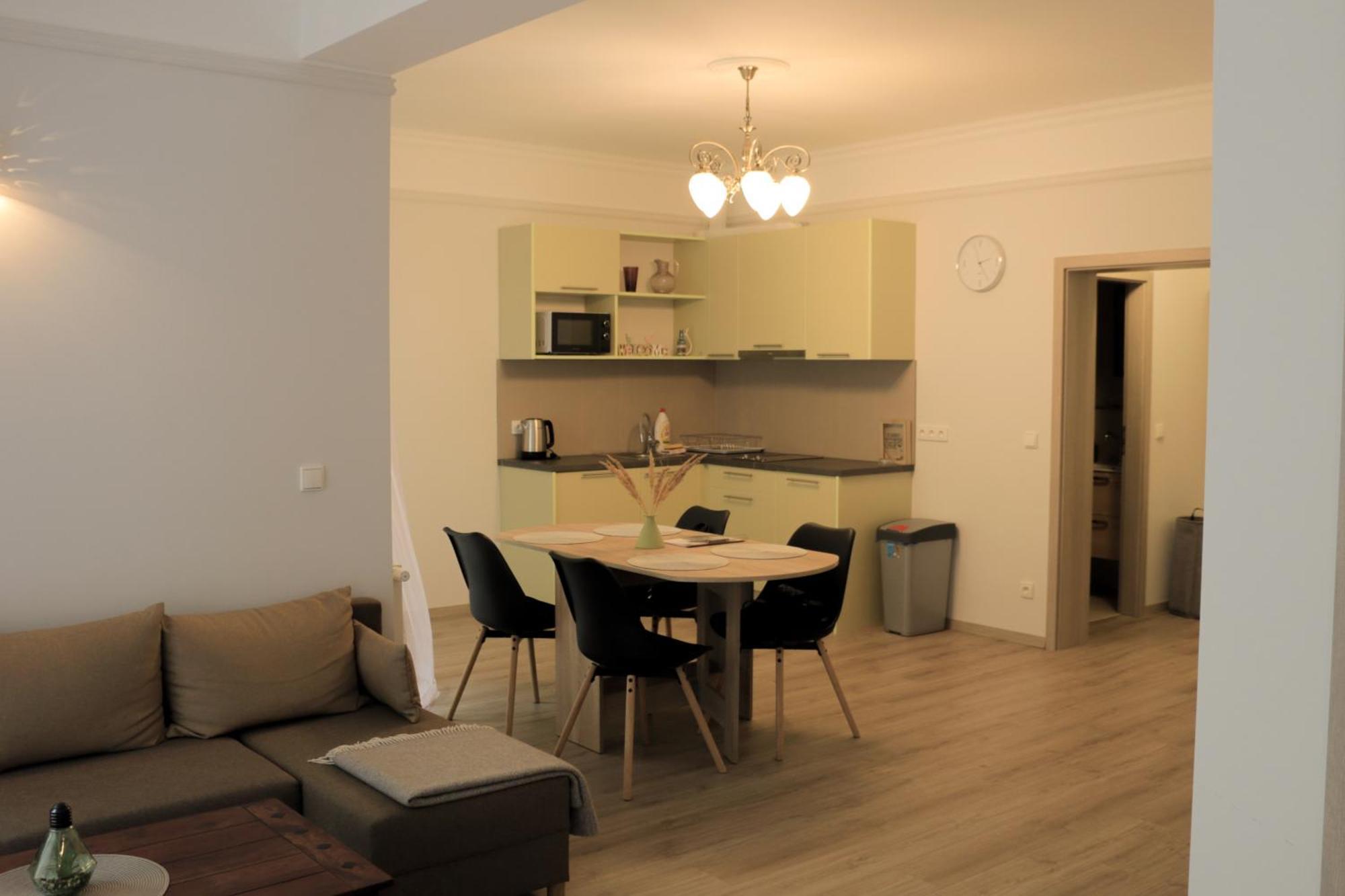 Apartments Moravska 24 カルロヴィ・ヴァリ 部屋 写真