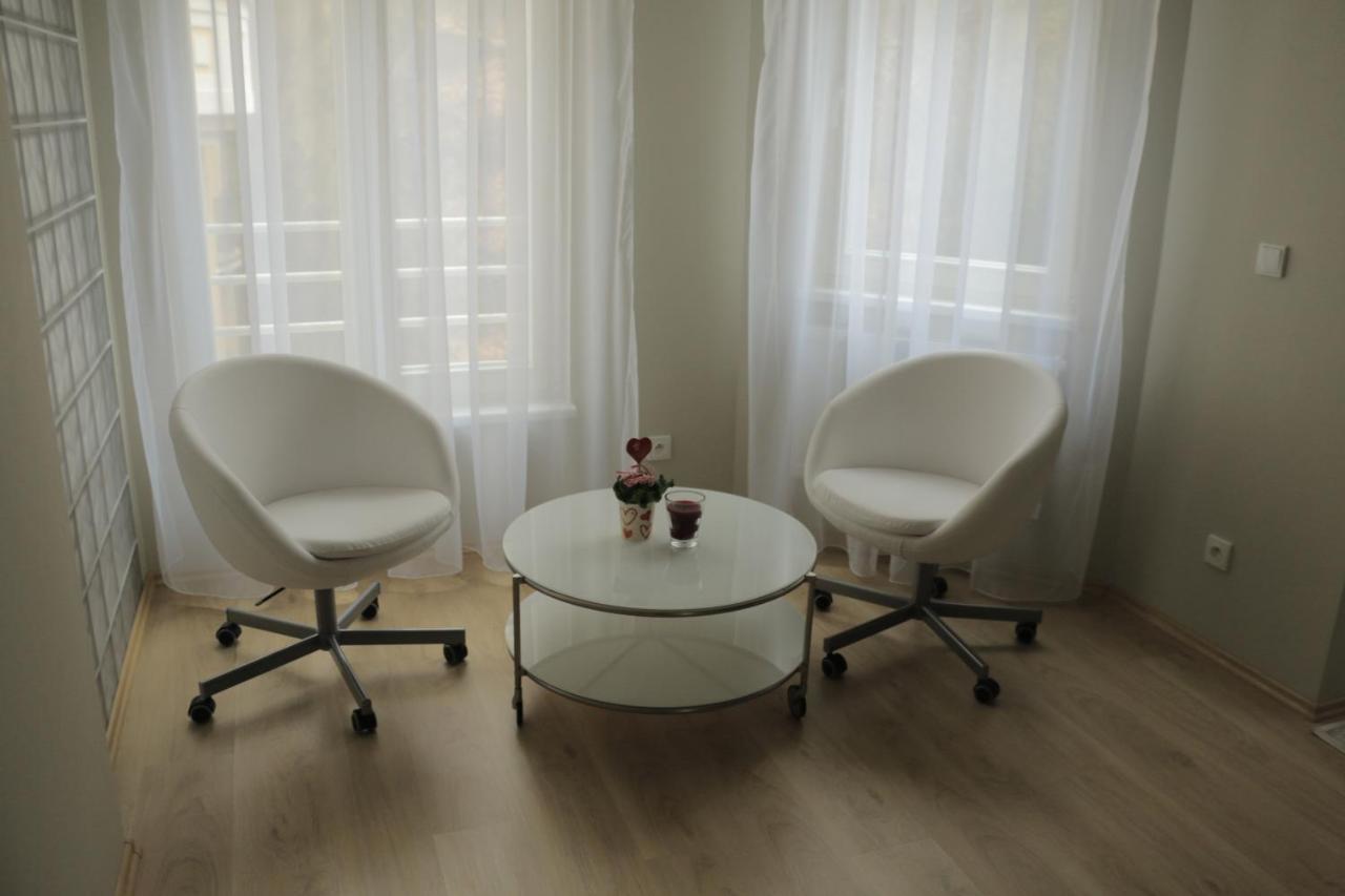 Apartments Moravska 24 カルロヴィ・ヴァリ エクステリア 写真